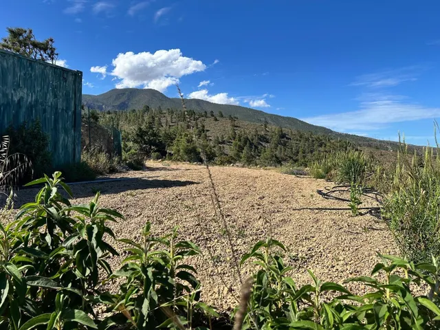 Santuario ecológico entre pinos, mar y estrellas - foto 4