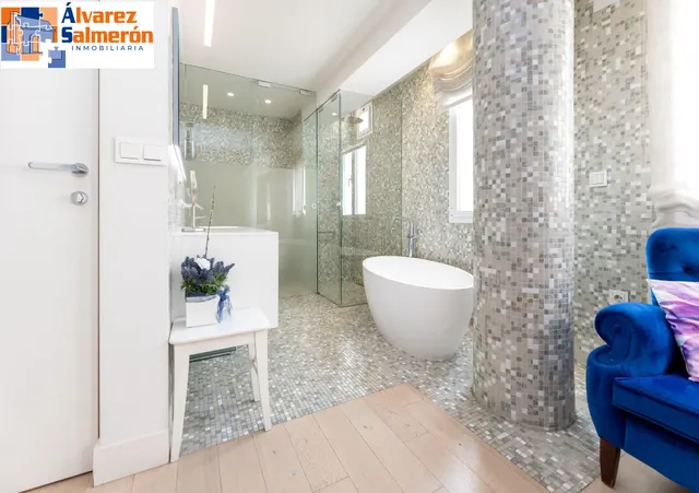 Exclusiva vivienda con vistas al Palacio de los Patos, junto Recogidas, 4 dormitorios 3 baños — 19