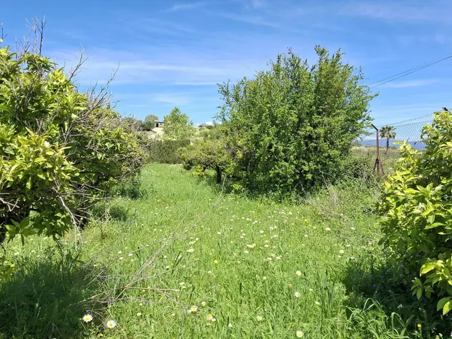 Terreno rústico de 3.413 m2 en Alhaurín de la Torre para proyectos rurales — 15