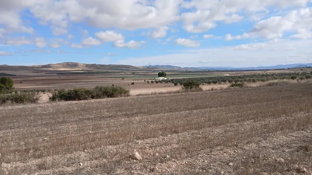 Parcela en venta - Yecla — 16
