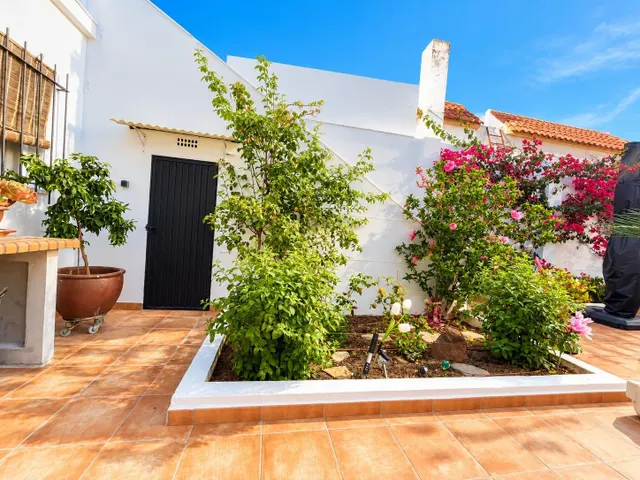 Casa de una sola planta con patio y azotea en Calle San Miguel – Alcalá de los Gazules — 8