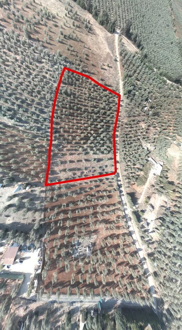 Finca rústica de 16.000 m2 junto a Almensilla. — 2