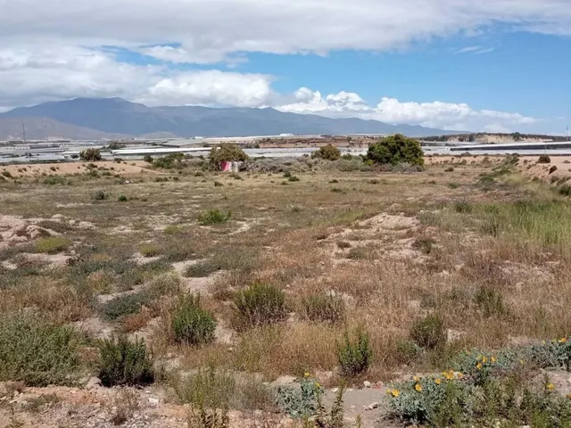 TERRENO URBANIZABLE EN BALERMA — 2