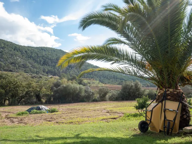 Finca Rústica de 20.000m2 con vivienda en venta. — 41