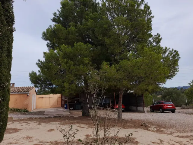 OPORTUNIDAD CASA RUSTICA EN FINCA DE 0,7 HAS.CON VIVIENDA EN SU INTERIOR, PISCINA Y ALMACENES EN MORA LA NOVA — 38