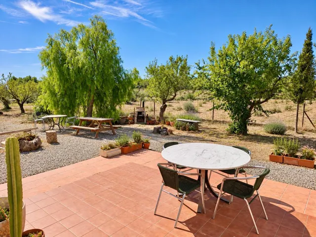 Finca de 11.000 m2 con 2 edificaciones y gran sala polivalente en Jérica — 19