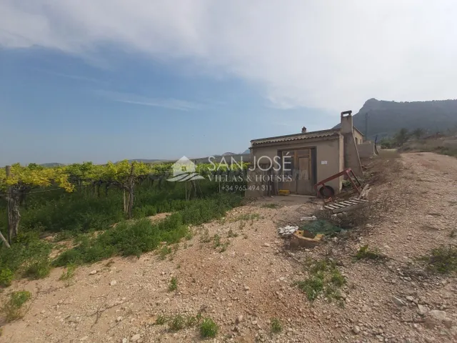 SE VENDE FINCA RUSTICA EN ASPE ZONA ALCANA CERCA DEL PEÑON - foto 5