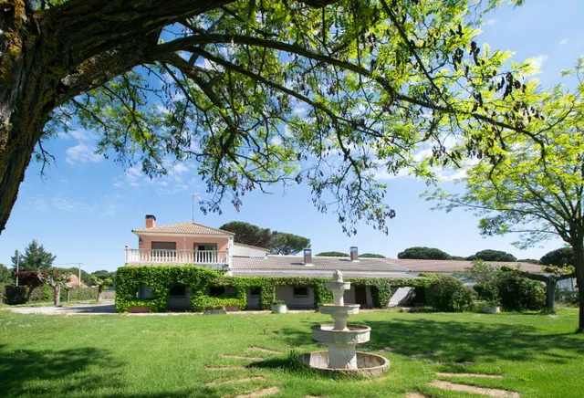 Gran finca con vivienda y merendero en Puente Duero — 11