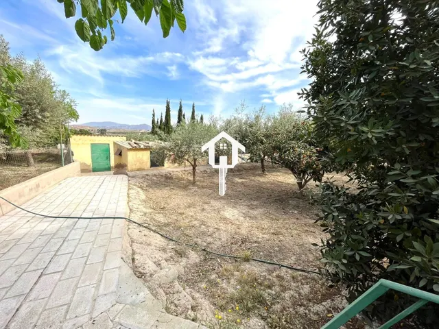 Casa adosada independiente en venta en el Rebolledo, elche. 3000m2 de parcela y 120 m2 de vivienda — 44