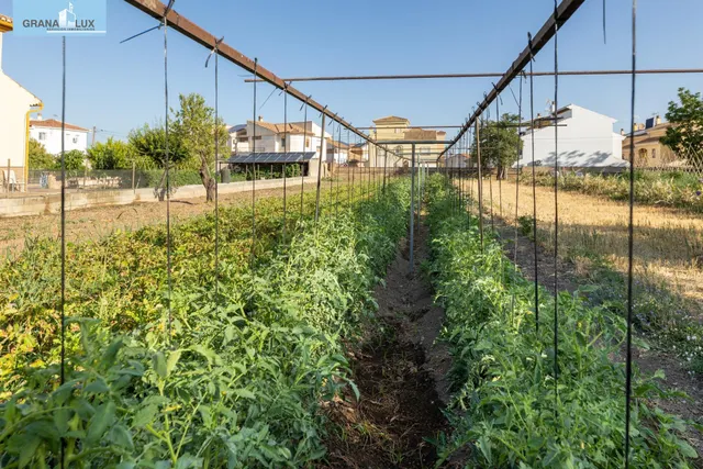 TERRENO URBANO 1060m EN LA ZUBIA — 13