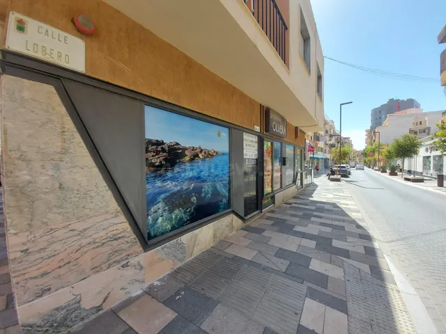 Local comercial en alquiler en zona comercial de El Ejido — 3