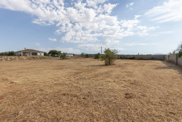 Terreno rural en venta - LOS TABLAZOS — 6