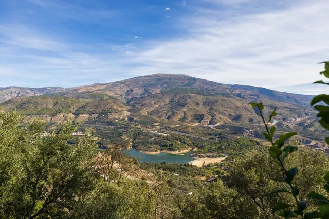 ¡Oportunidad única! Dos Fincas rústicas de mas de 15.000 m2 en total en Pinos del Valle. VENTA JUNTAS O SEPARADAS — 36