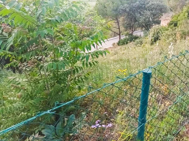 TERRENO A LA VENTA EN ABRERA (LES CARPES) - POSIBILIDAD DE DOS VIVENDAS — 16