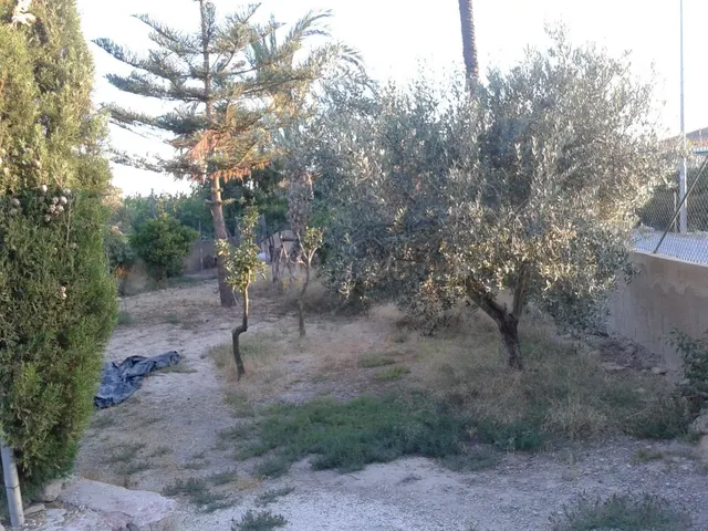 Finca rústica 1m² en venta - Desamparados-Hurchillo-Torremen - foto 3