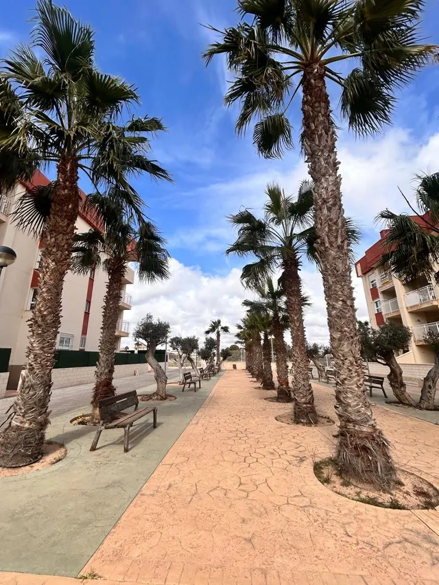 Complejo Residencial Regenerado en Lomas de Cabo Roig - Apartamentos Reformados — 8