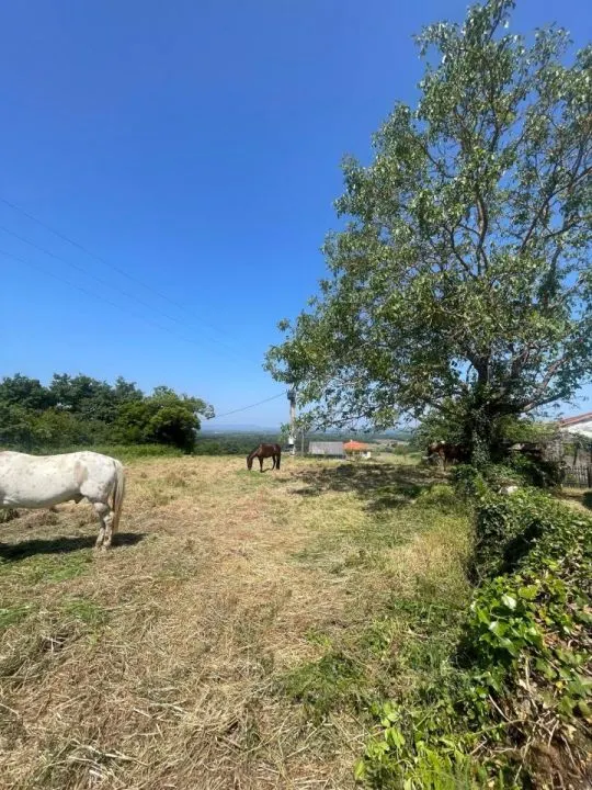 CASA CON FINCA DE 1.200M2 Y MULTIPLES POSIBILIDADES!! — 12