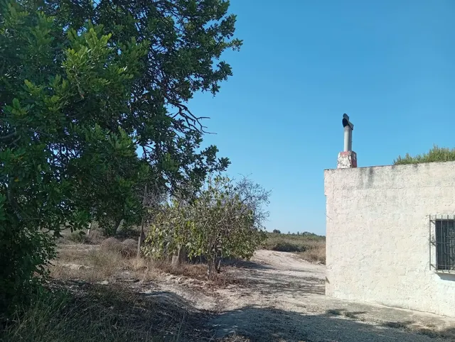 Chalet 2 habitaciones 90m² en venta - La Hoya-Daimes-El Derramador — 11