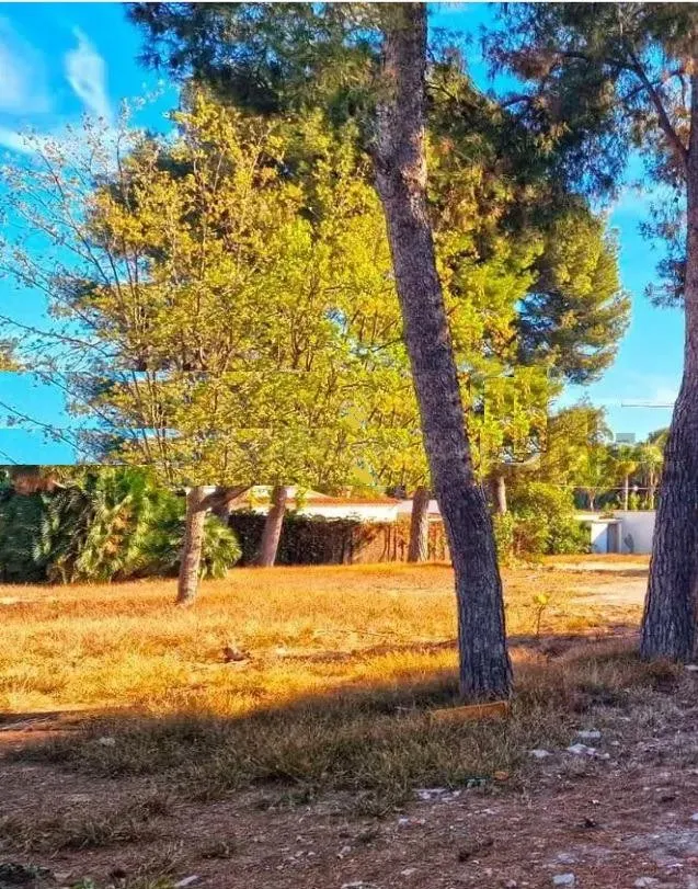 Terreno urbano en venta - Terramar