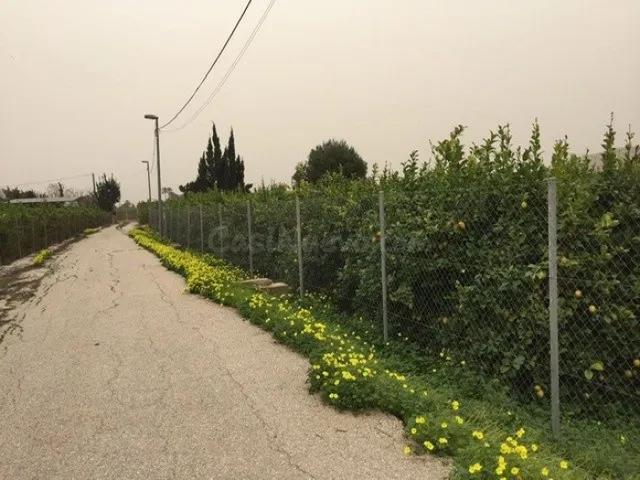 Parcela - Llano de Brujas, Murcia - foto 2