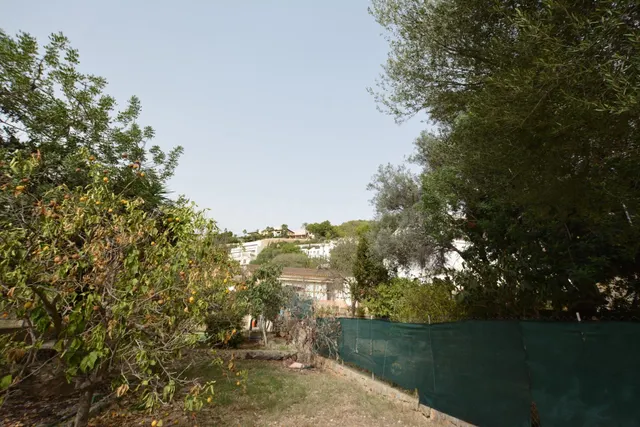 EN VENTA TERRENO URBANO EN GÉNOVA MALLORCA — 3