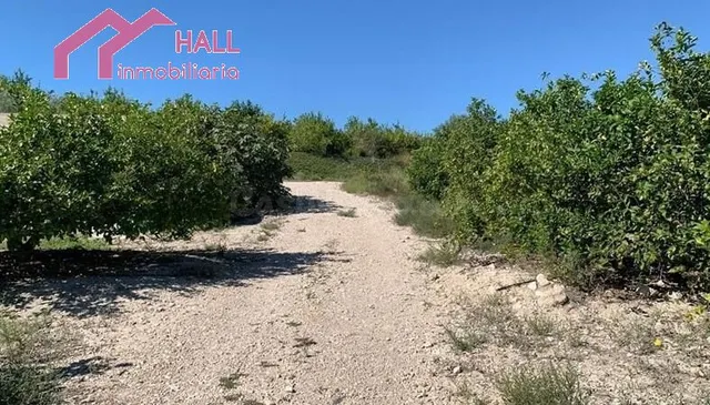 Terreno rural en venta - Paraje La Jaira - foto 3