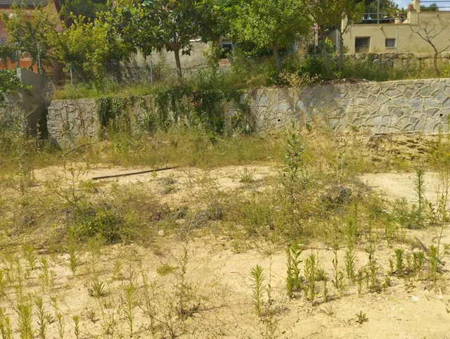 Terreno con permisos, proyecto y licencia de obra ya otorgada — 7
