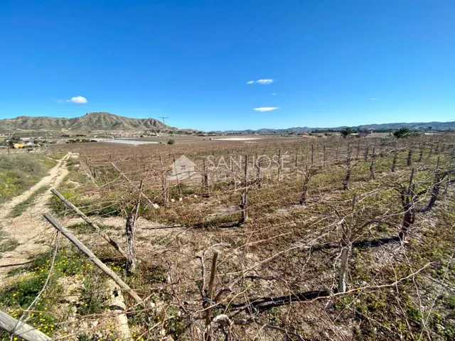 VENTA DE PARCELA EN ASPE EN MUY BUENA ZONA DE 11.040 M2 - foto 4