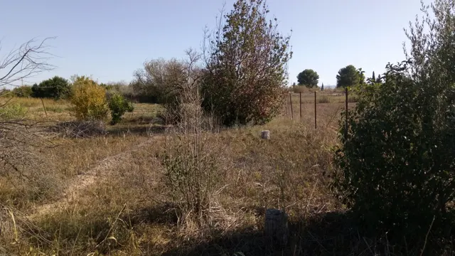 SE VENDE PARCELA RÚSTICA EN EL LLANO DE MOLINA - foto 2