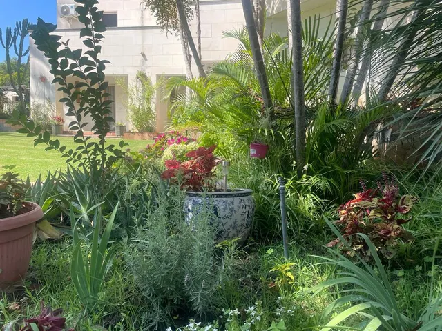 Ideal inversores villa en zona a sotograde — 10