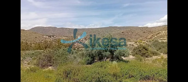 VENTA DE TERRENO RURAL EN LUCAINENA DE LAS TORRES (ALMERÍA) - foto 4