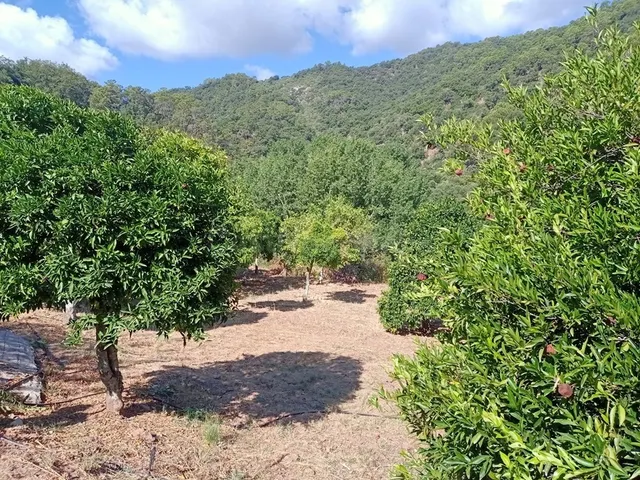 Casa de campo-Masía en Venta en Benastepal Málaga — 26
