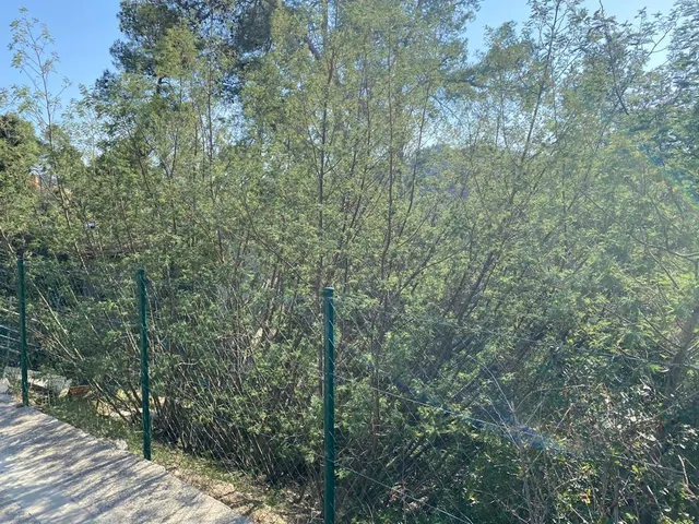 SE VENDE TERRENO URBANO EN SANT CUGAT, ZONA LA FLORESTA — 7