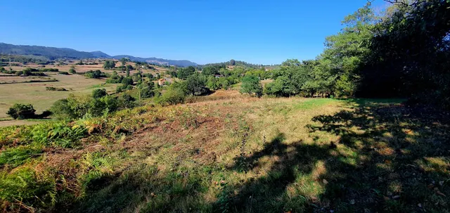 Parcela de 5.255 m2 en marinas – las regueras | a 15 minutos de oviedo — 12