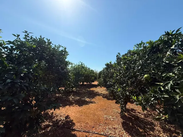 Terreno rural en venta - Andalucia
