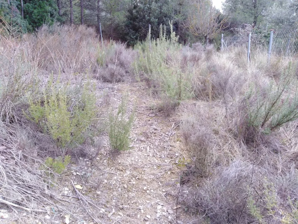 TERRENO URBANO EN VENTA EN EL PONT DE VILOMARA (RIVER PARK)