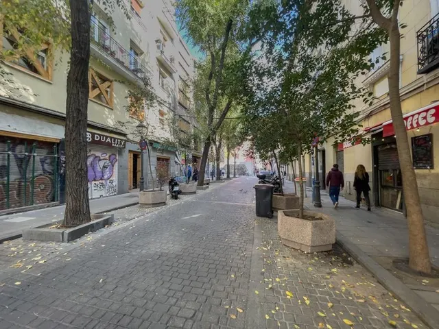 Dúplex en venta en calle de Tribulete 18, Madrid — 17