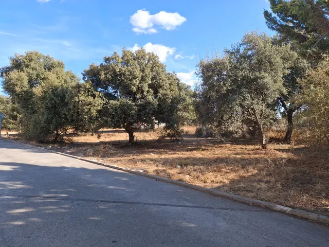 PARCELA DE ESQUINA EN ZONA PIOZ — 2