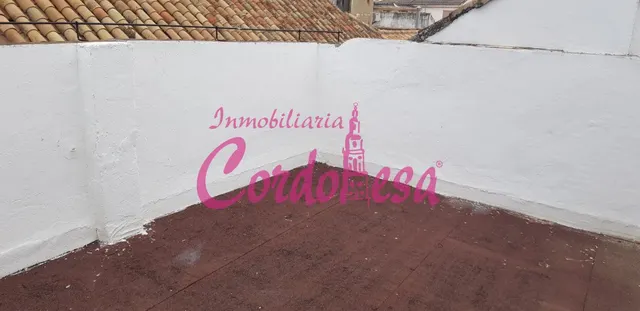 CASA JUNTO A LA CATEDRAL — 8