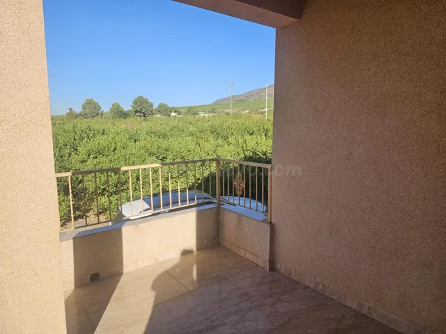 SE VENDE FINCA DE REGADIO CON GRAN CASA EN LA COSTERA, ALHAM - foto 4