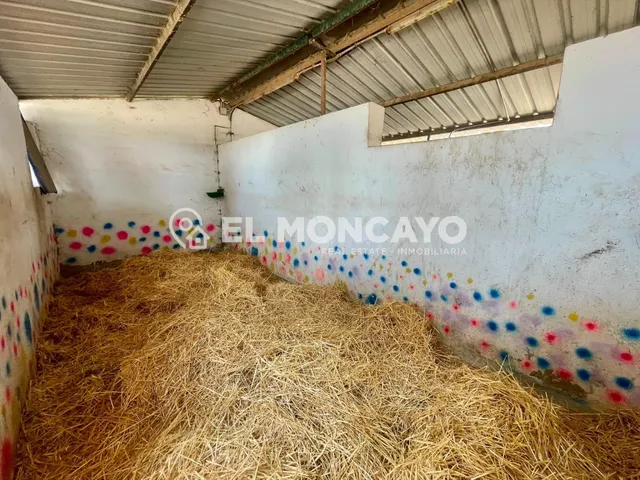Fantástica finca rústica con piscina privada e instalaciones para caballos junto al Parc Natural del Fond en Dolores, Alicante — 37