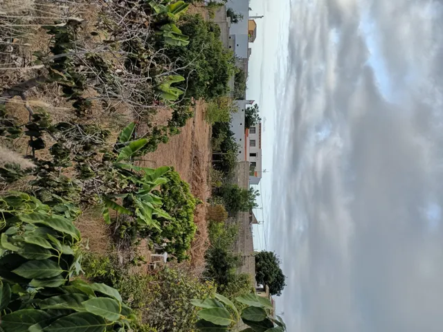 Terreno urbano de 2.500 m2 en Icod de los Vinos | oportunidad para inversores — 44