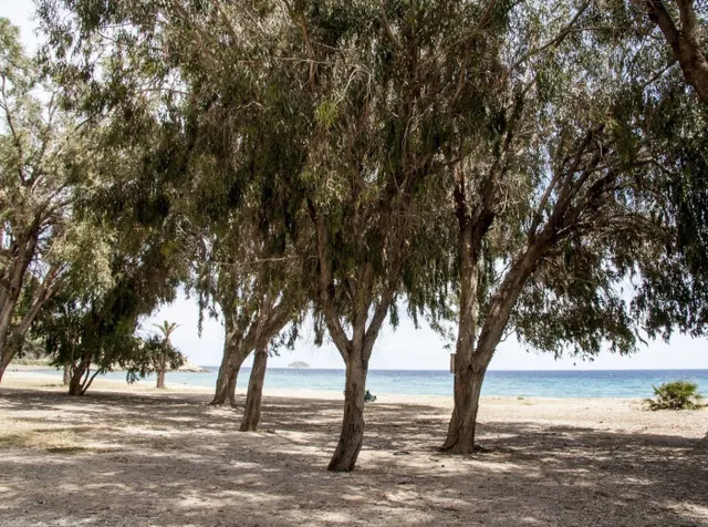 ADOSADO EN RESIDENCIAL A 50M DE LA PLAYA — 15