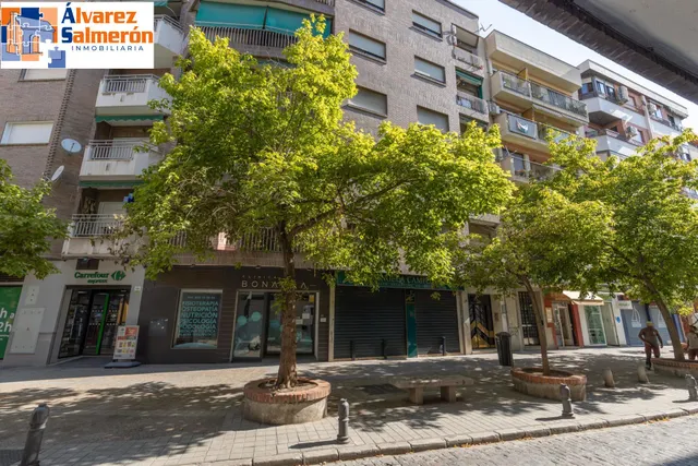 La amplitud que buscas, en el corazón de Granada — 49