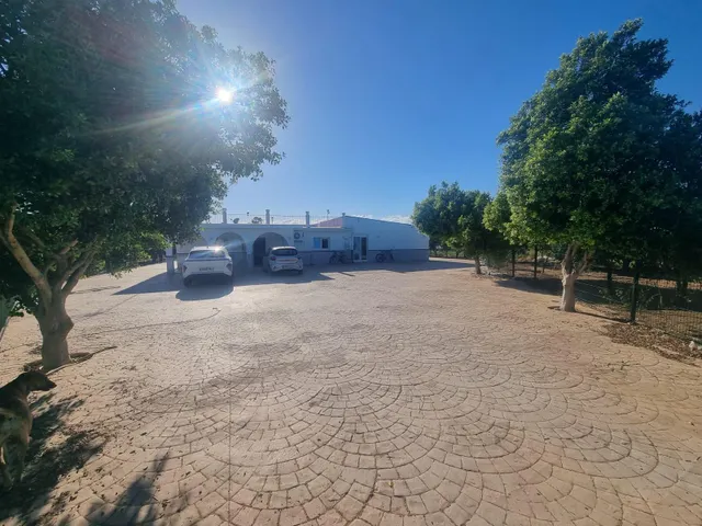Finca rustica el pintado, Gibraleón — 44