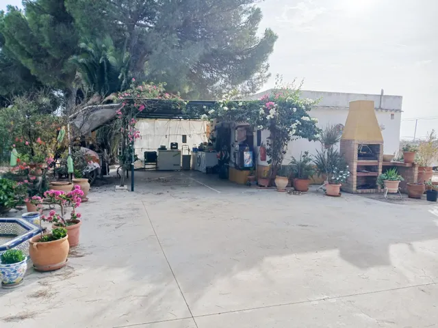 FINCA CON VIVIENDA EN BONARES (HUELVA) — 12