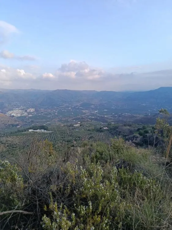 Parcela en venta - Alora pueblo — 23