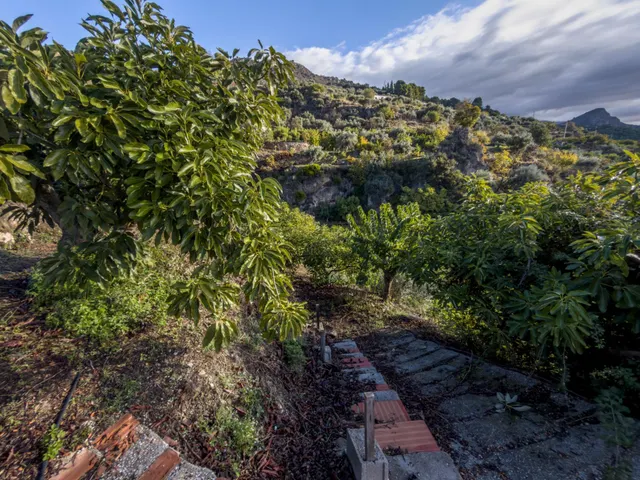 Finca rústica de AGUACATES con CONTRUCCIÓN de 37 m2 en Los Guájares (Faragüit) — 32