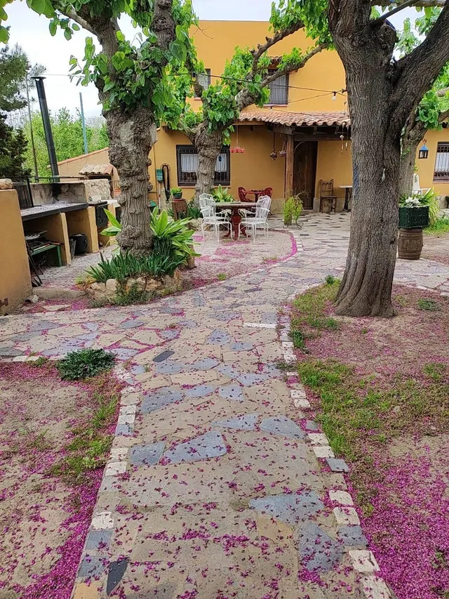 Masia encantadora estilo bohemio - foto 2