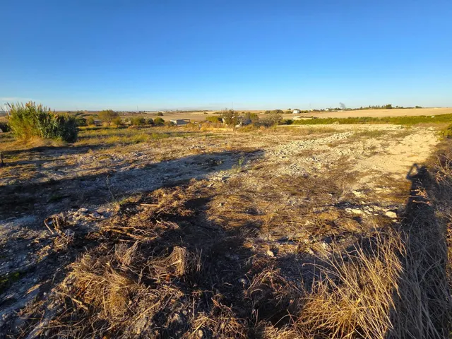 Parcela segregada de 3.353 m/2  en el marquesado – Chiclana de la Frontera — 5